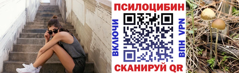 Галлюциногенные грибы GOLDEN TEACHER  Моршанск 