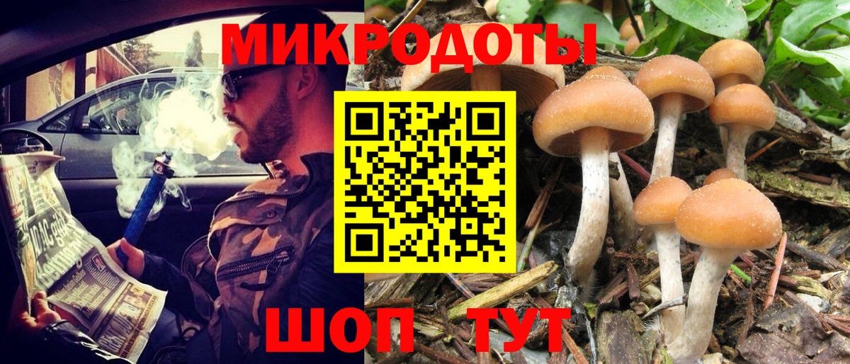 Моршанск  где купить наркоту  Вход с VPN  Псилоцибиновые грибы Psilocybine cubensis 